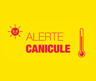 canicule