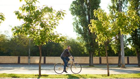 AdobeStock_292217209.jpeg
