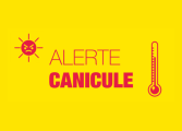 canicule