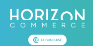 Horizon Commerce